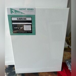 11 x 14 White Canvas 3-Pack